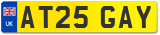 AT25 GAY