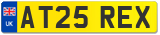 AT25 REX