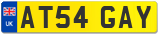 AT54 GAY