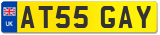 AT55 GAY