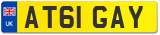 AT61 GAY
