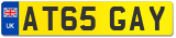 AT65 GAY