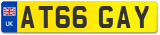 AT66 GAY