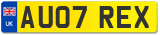 AU07 REX