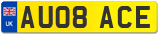 AU08 ACE