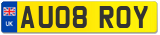 AU08 ROY