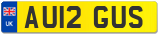 AU12 GUS