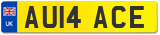 AU14 ACE