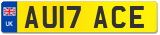 AU17 ACE