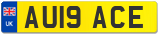 AU19 ACE