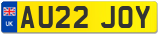 AU22 JOY