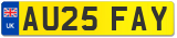 AU25 FAY