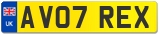 AV07 REX