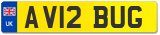 AV12 BUG