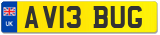 AV13 BUG