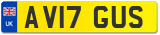 AV17 GUS