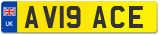 AV19 ACE