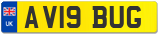 AV19 BUG
