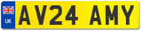 AV24 AMY