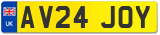 AV24 JOY