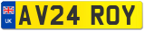 AV24 ROY