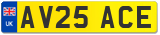 AV25 ACE