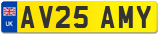 AV25 AMY