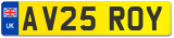 AV25 ROY