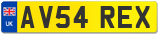 AV54 REX