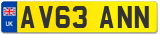 AV63 ANN