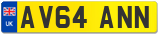 AV64 ANN