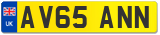 AV65 ANN