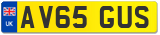 AV65 GUS