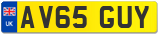 AV65 GUY