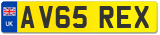 AV65 REX