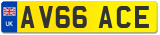 AV66 ACE