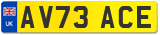 AV73 ACE