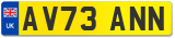 AV73 ANN