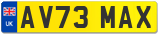 AV73 MAX