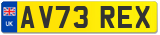 AV73 REX