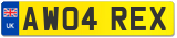 AW04 REX