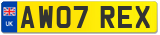 AW07 REX