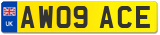 AW09 ACE