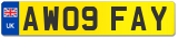 AW09 FAY