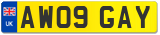 AW09 GAY
