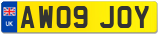 AW09 JOY