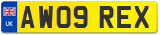 AW09 REX