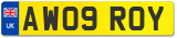 AW09 ROY