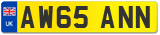 AW65 ANN