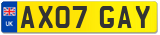 AX07 GAY